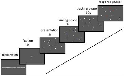 Team ball sport experience minimizes sex difference in visual attention